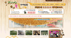 Desktop Screenshot of jirihoney.com
